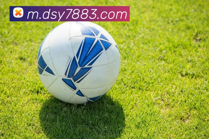 大三元官网平台登录平台生态图